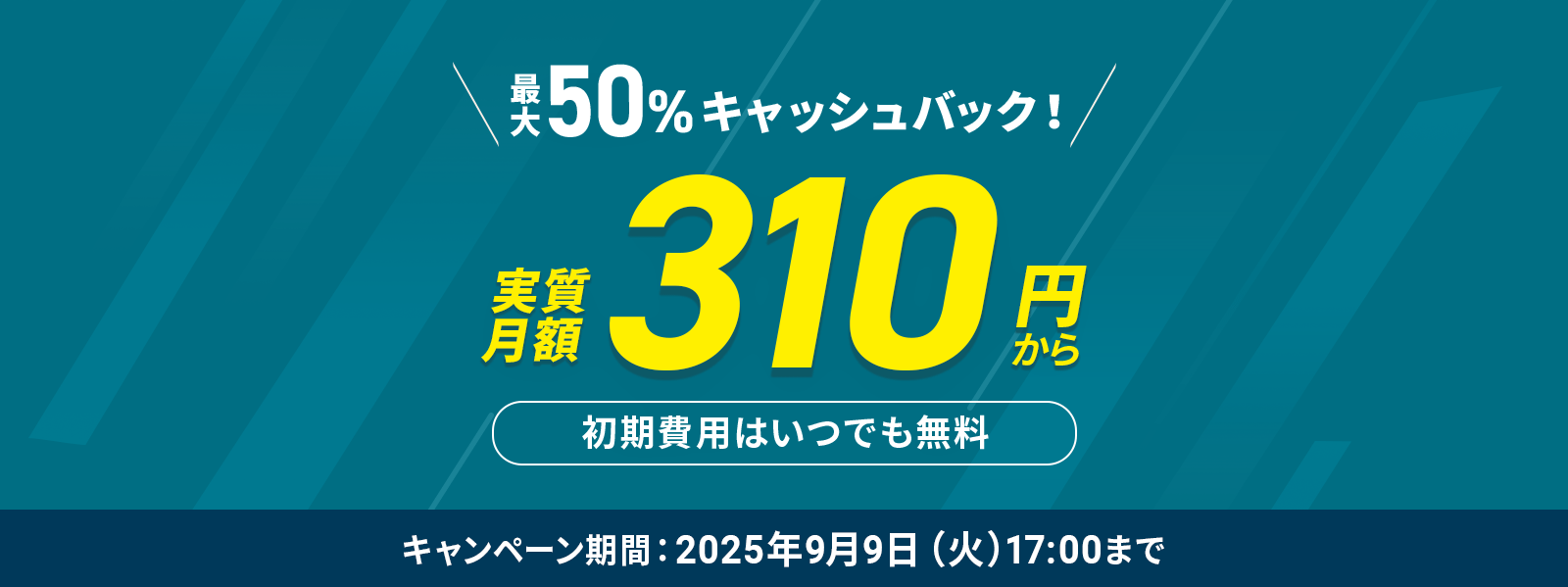 ¼310ߡ50%åХåڡ 99()1700ޤ