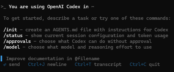 codexޥɤ¹Ԥ