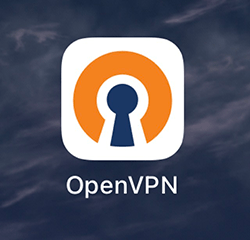 OpenVPN Connect APP