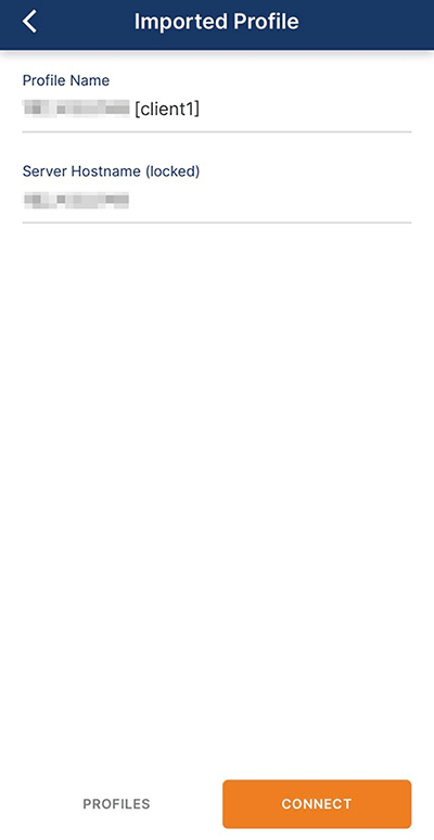 「Import Profile」画面